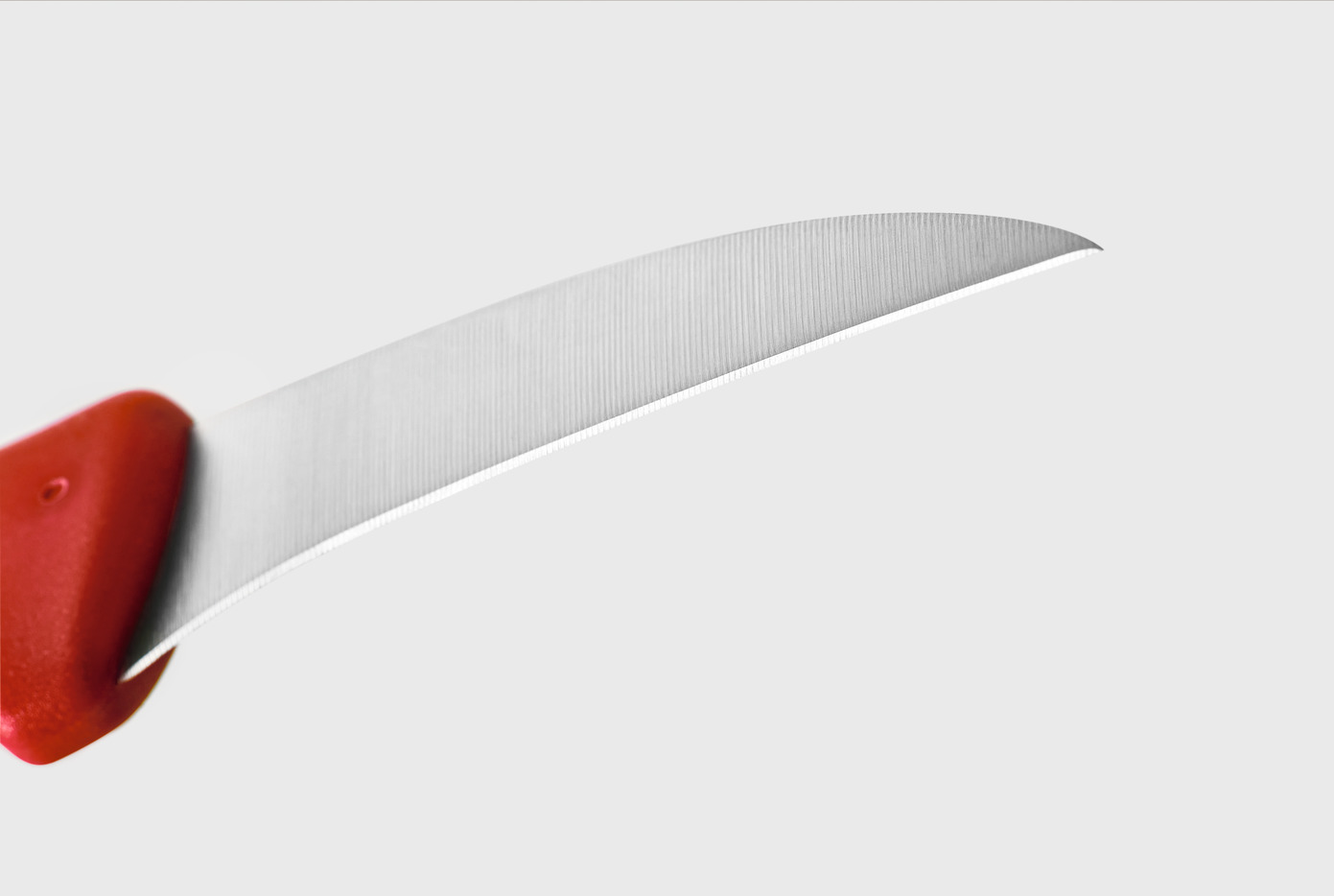 94cea050-5a48-4651-9b74-eea0634a4cfd_1065370101_1.jpg Wusthof - 1065370101 - Create 3pc Red Pairing Knife - Create 3pc - Image 1