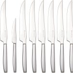 Wusthof - 1069511002 - 10pc Stainless Mignon Steak Knife Set - 10pc Stainless