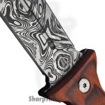 Takumitak - TKF403WD-CS - Protector - Fixed Blade Knife - 3Cr13 SS Acid Etched Spear Point - Pakkawood - Brown - Image 4